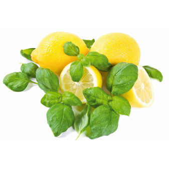 Náhradní náplň do osvěžovače DUAL/SOLO lemon and basil