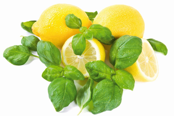 Náhradní náplň do osvěžovače DUAL/SOLO lemon and basil