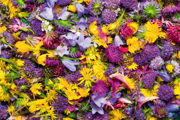 Náhradní náplň do osvěžovače DUAL/SOLO crushed petals