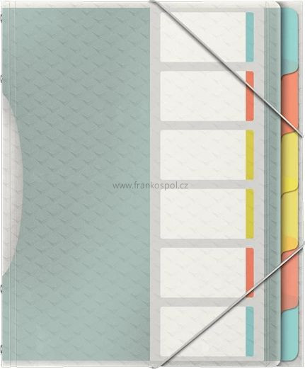 Desky třídící s gumičkou 6 listů ESSELTE Colour'Ice 6 listů