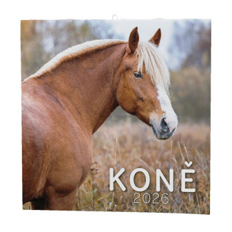 Nástěnný kalendář KONĚ, BNL3